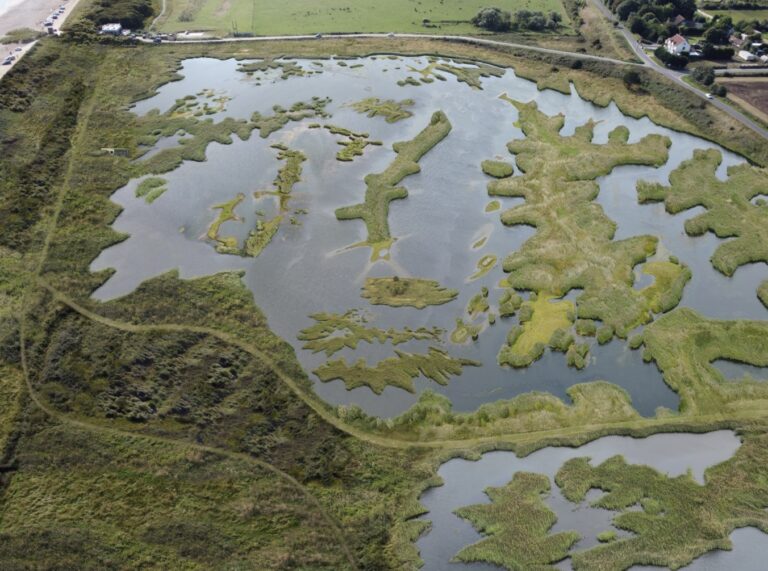 New £7.3m National Trust wetland nature reserve on the Lincolnshire coast