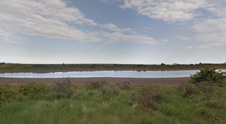 Improvements planned for Skegness beauty spot