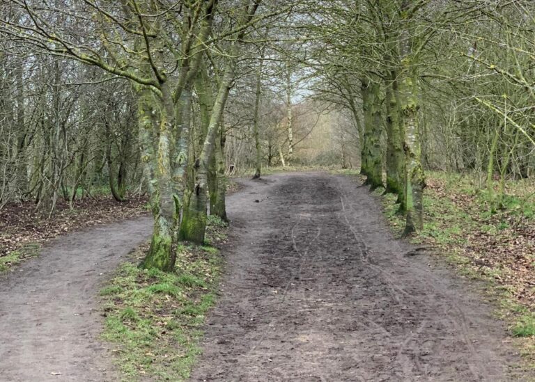 Millennium Green closes for three weeks for upgrade works