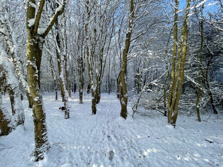 AMBER warning for snow across Lincolnshire